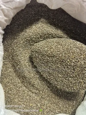 Organic Chia Seed (1kg)
