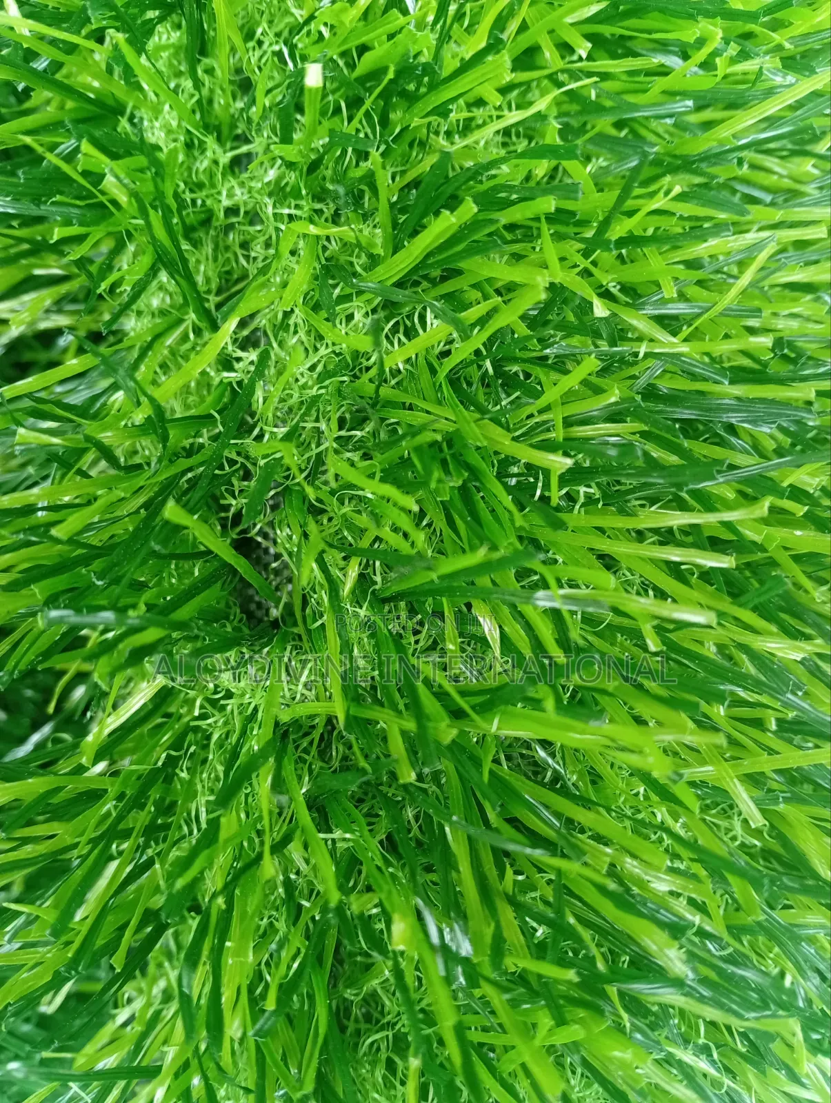 Synthetic Grass