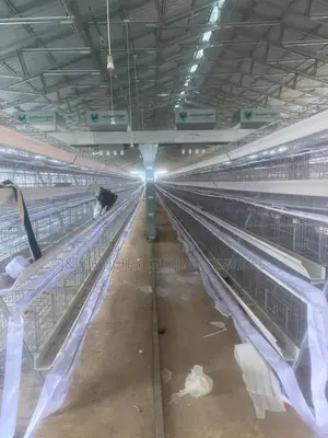 Layers Cage