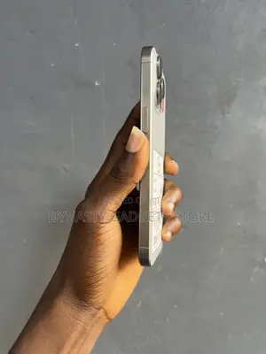 Apple iPhone 15 Pro Max 256 GB Gray