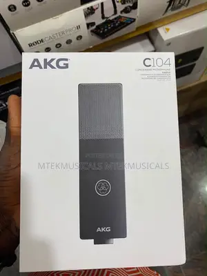 Akg C151 Microphone
