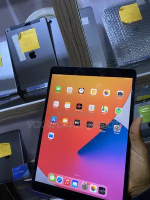 Apple iPad Air (2019) 256 GB Gray