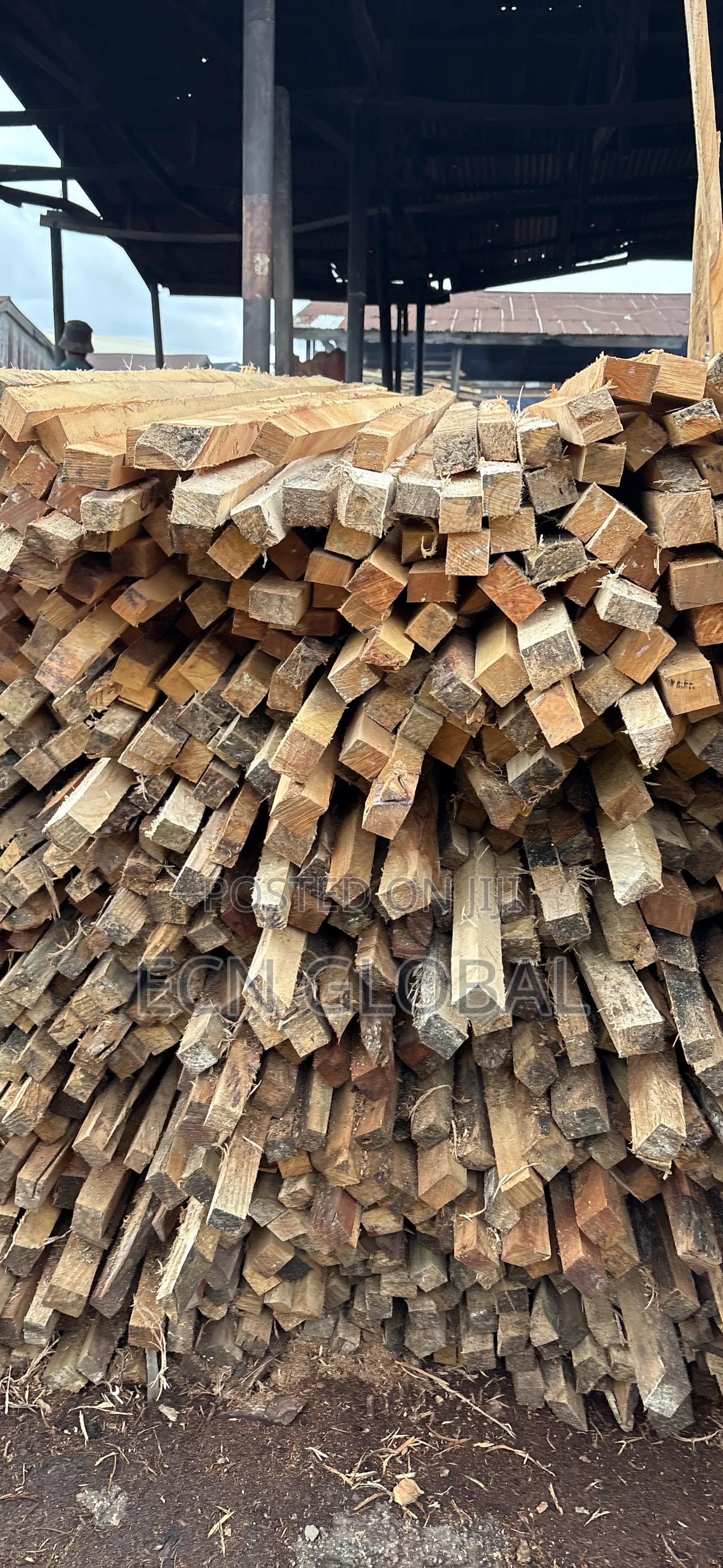 Timber Wood