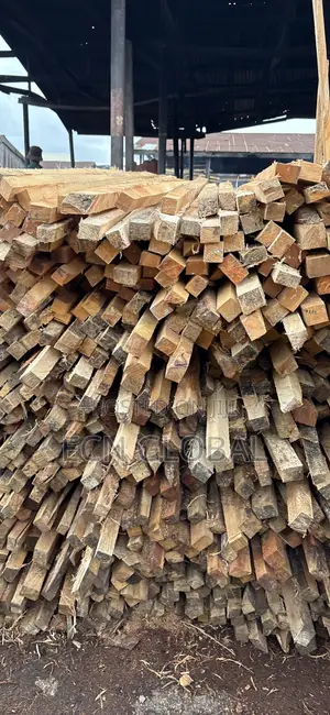 Timber Wood