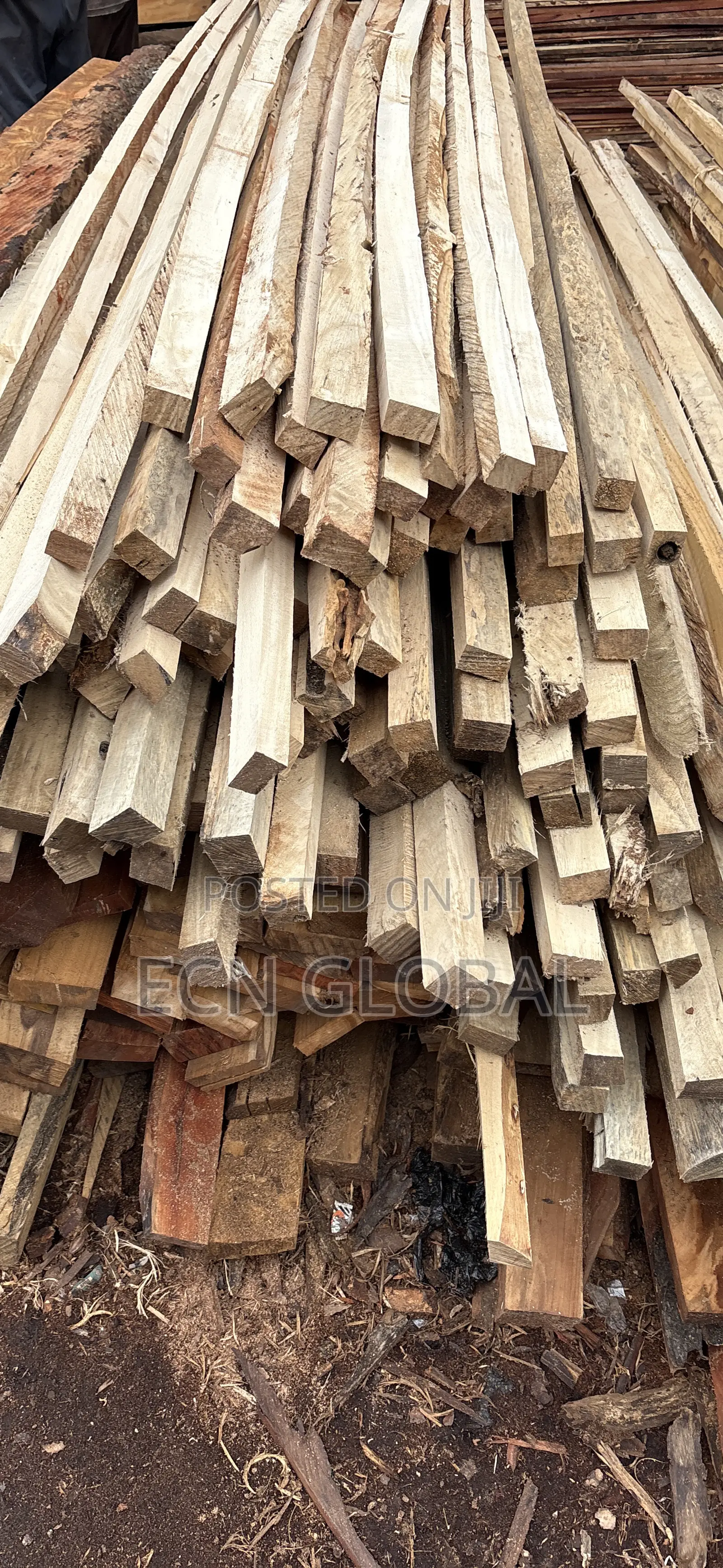 Timber Wood