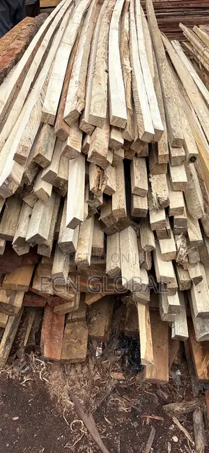 Timber Wood