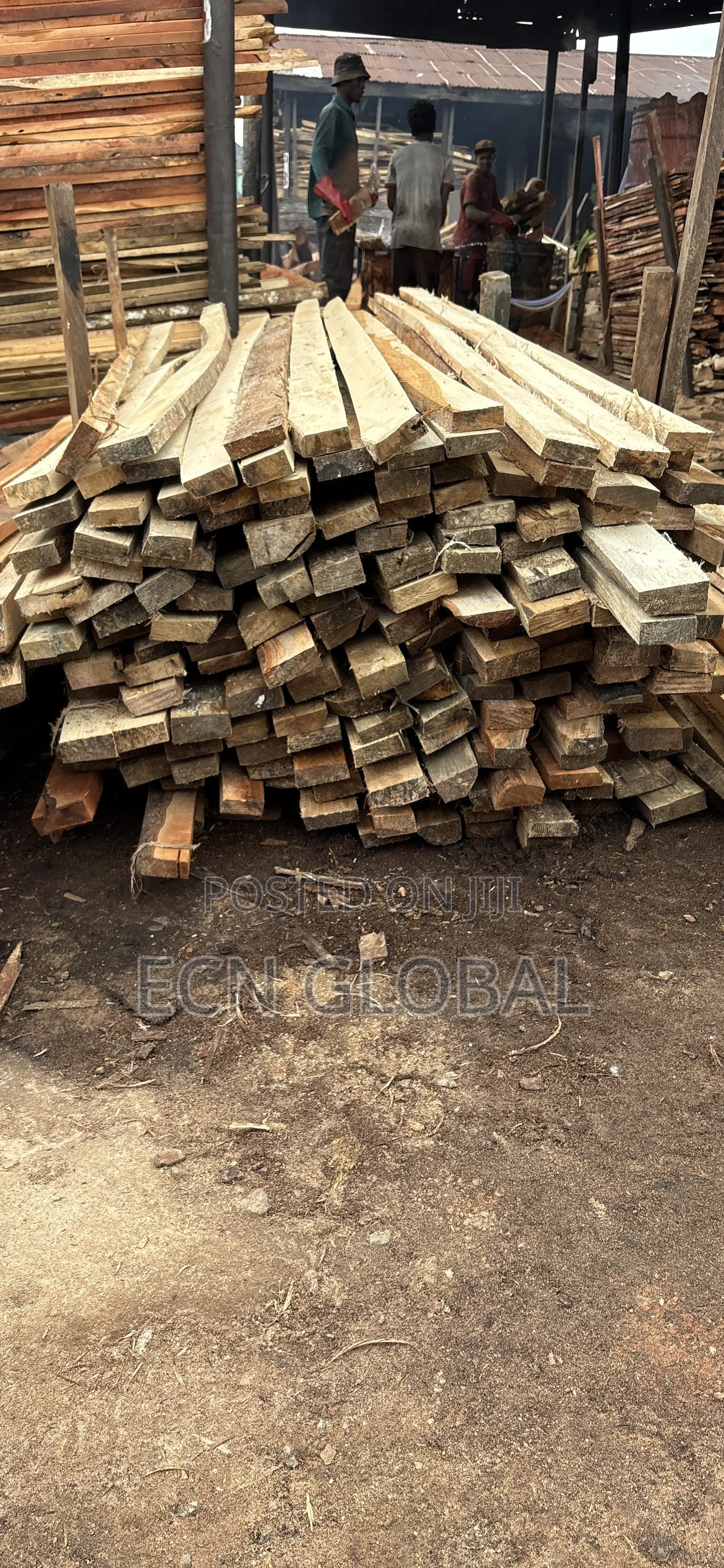 Timber Wood