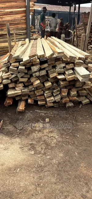 Timber Wood