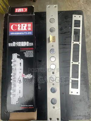 Special Giant Mortise (Smart Lock )