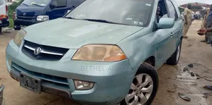 Acura MDX Touring Package 2004 Blue