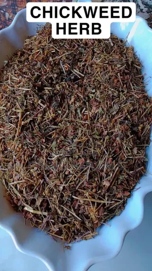 Chickweed Herb 100g – Premium Dried Chickweed for Herbal Tea