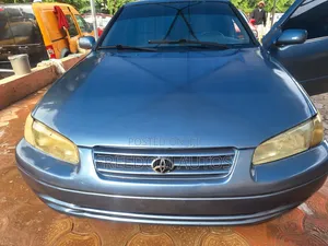 Toyota Camry 2002 Gray