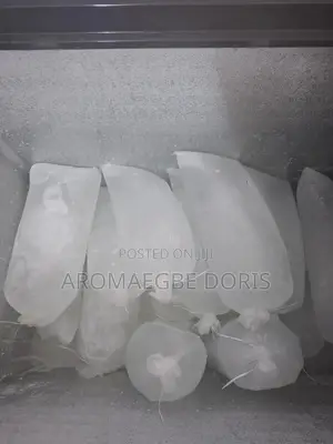 Frozen Ice Block