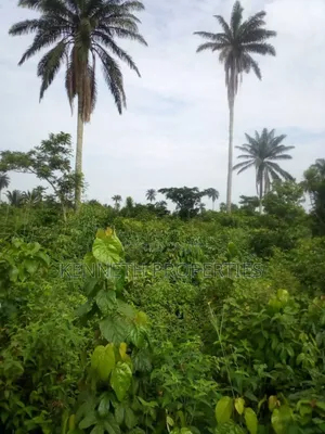 Land Sales