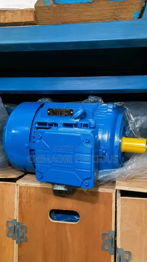 Electric Motor Weg