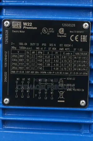 Electric Motor Weg