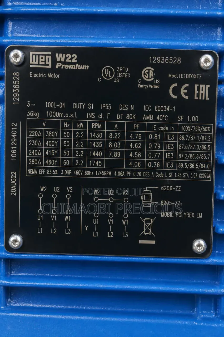 Electric Motor Weg