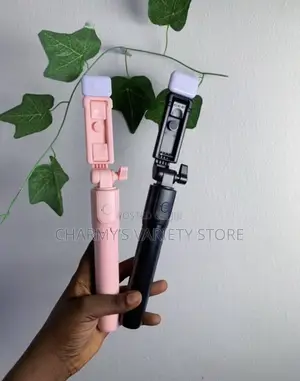 Selfie Stick/Phone Stand