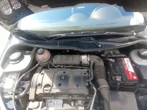 Peugeot 206 2004 Silver