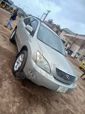 Lexus RX 2008 Gray