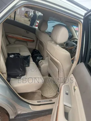 Lexus RX 2008 Gray