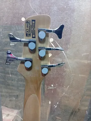 FENDER Professional 5 Strings Bass Guitar