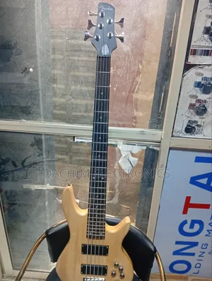FENDER Professional 5 Strings Bass Guitar