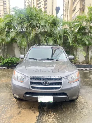 Hyundai Santa Fe 2008 Gray