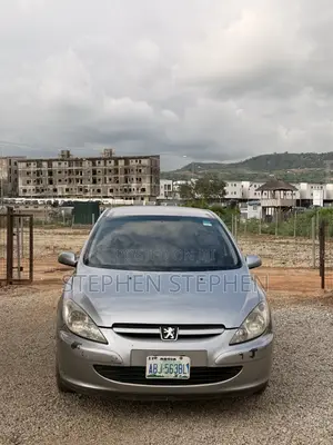 Peugeot 307 2007 Silver