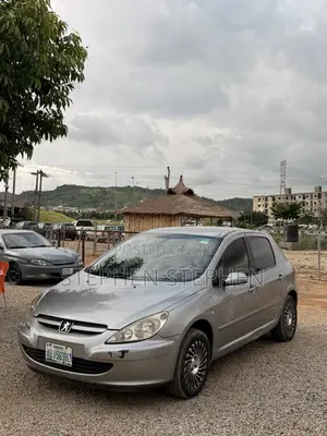 Peugeot 307 2007 Silver