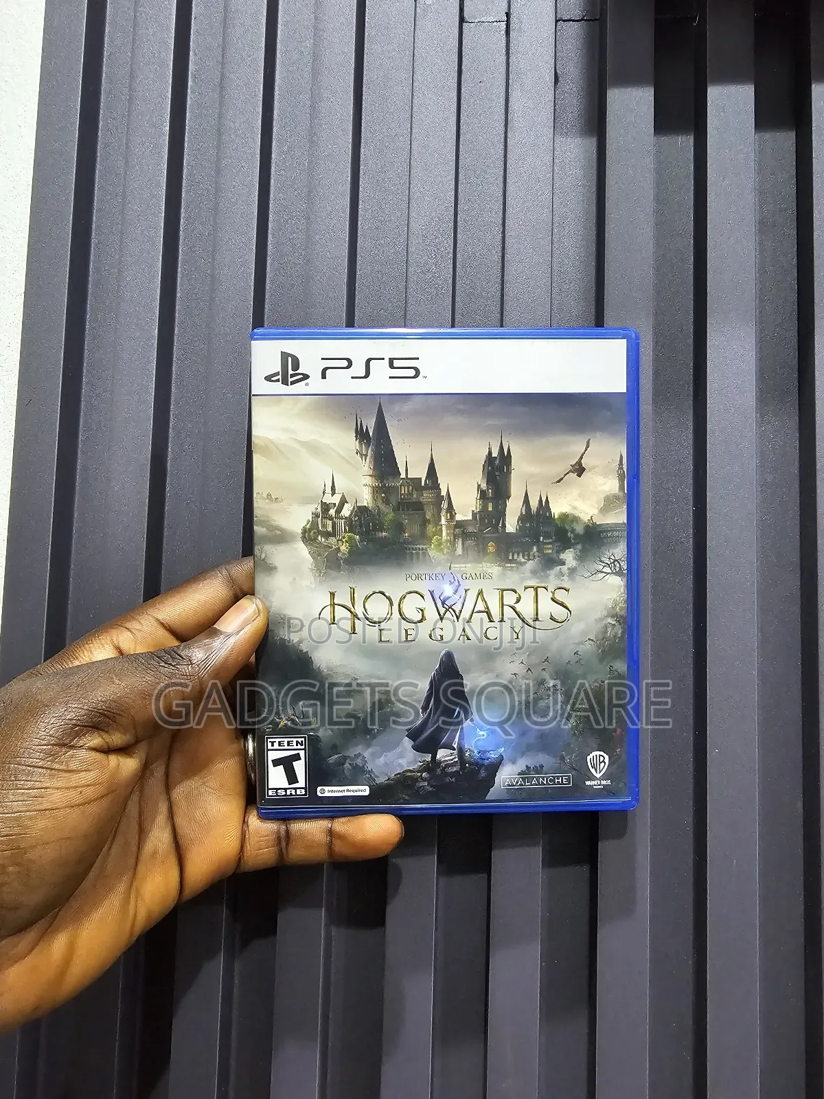 Hogwarts Legacy