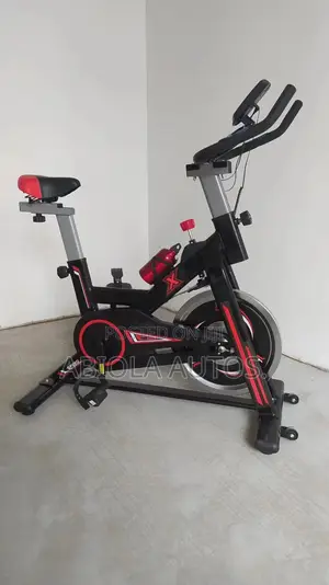 Professional Indoor Exercise/Cycling Bike