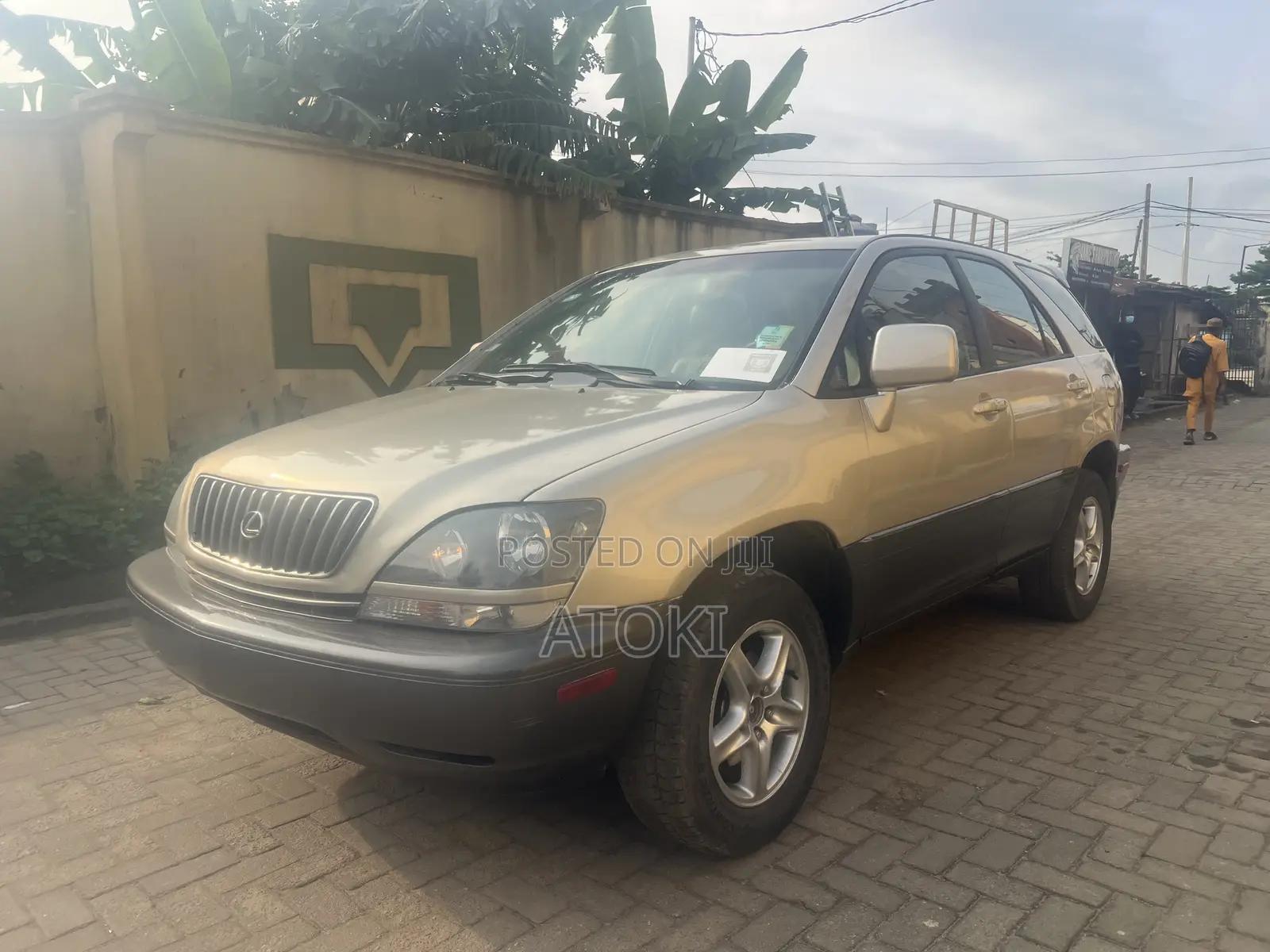 Lexus RX 300 2001