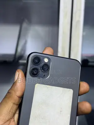 Apple iPhone 11 Pro Max 256 GB Gray