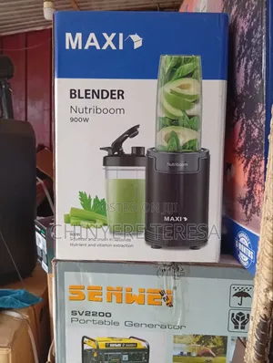 Maxi Electric Blender 0.8l and 0.5l Model BS2500