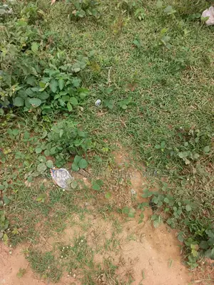1 Heacters of Land in Gwagwalada by Gwako for Sale. Abuja – Nigeria