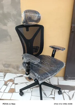 Ergonomic Chair ED3020