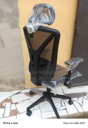 Ergonomic Chair ED3020