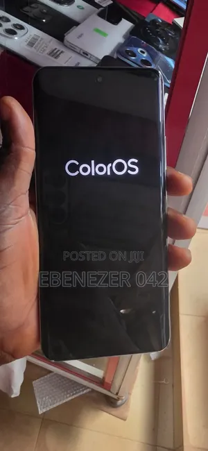 Oppo Reno12 256 GB Silver