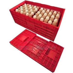 Egg Transfer Crates