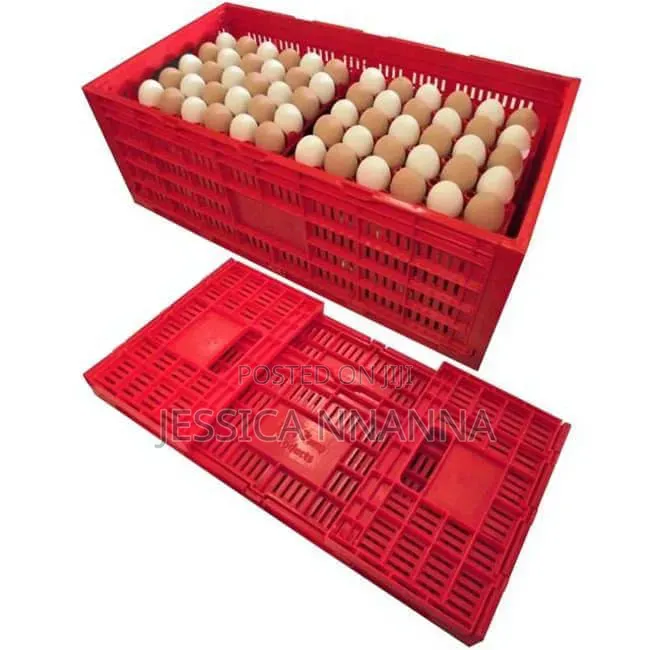 Egg Transfer Crates