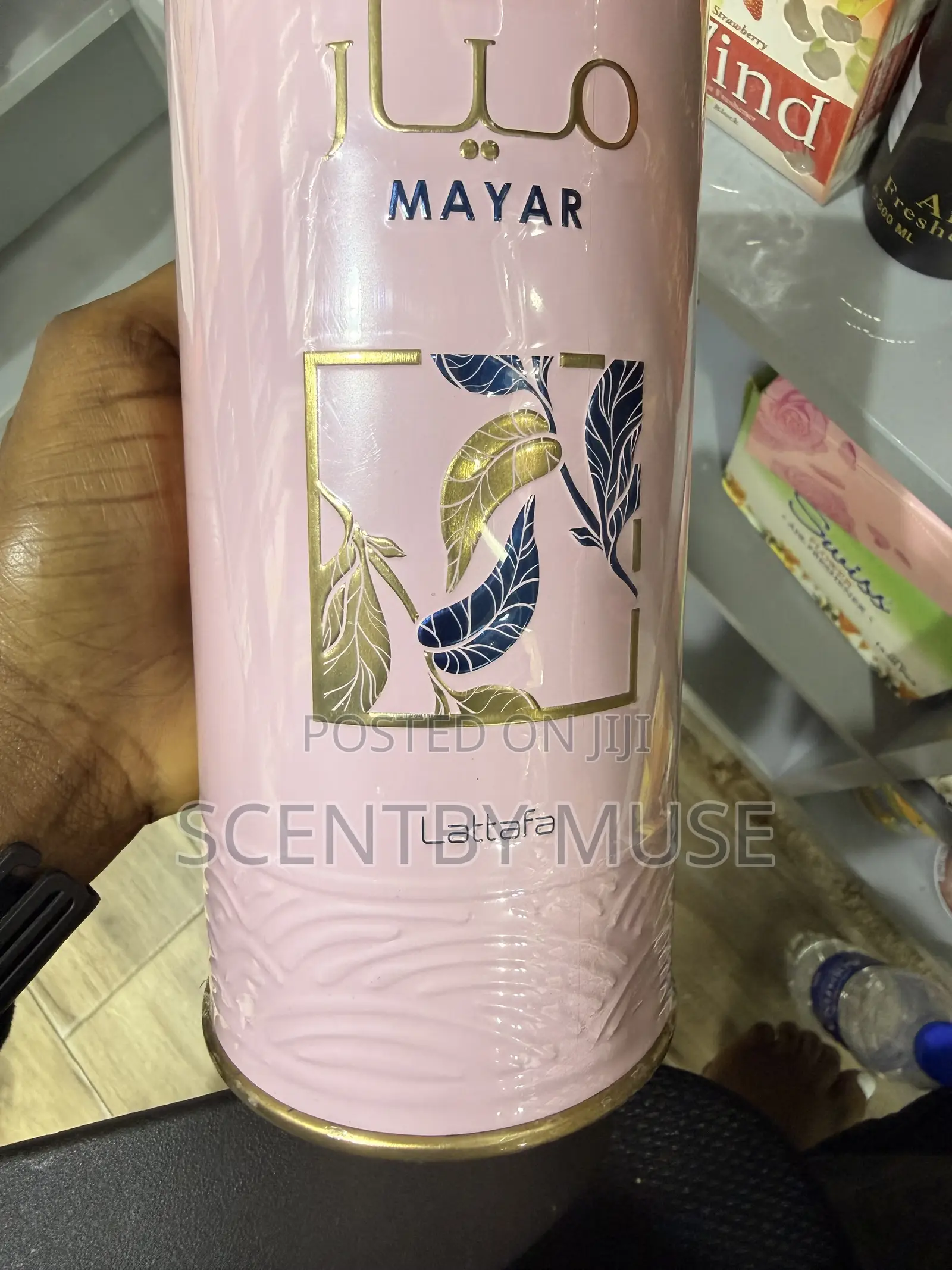 Mayar Lattafa