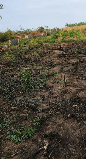 Imota Ikorodu Land