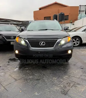 Lexus RX 2010 Gray
