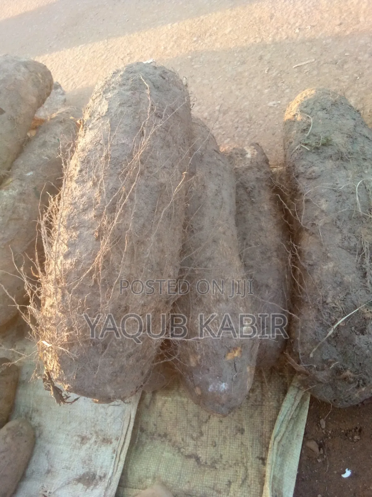 The Yam Plug in Kaduna