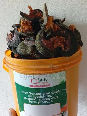 Export Standard Oven Dried Snails