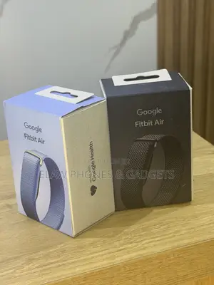 Google Fitbit Air