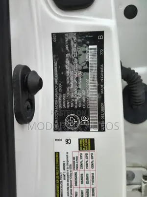 Lexus RX 2021 White