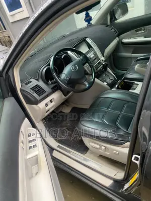 Lexus RX 2009 Gray