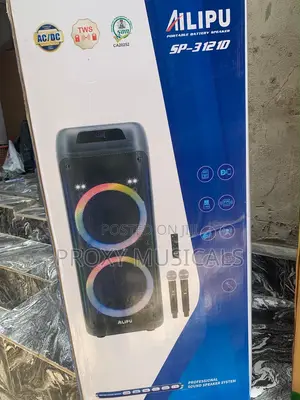 Ailipu Double 12inches Rechargeable Public Address(PA) System With LED